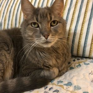 Meet your Posher, Jane